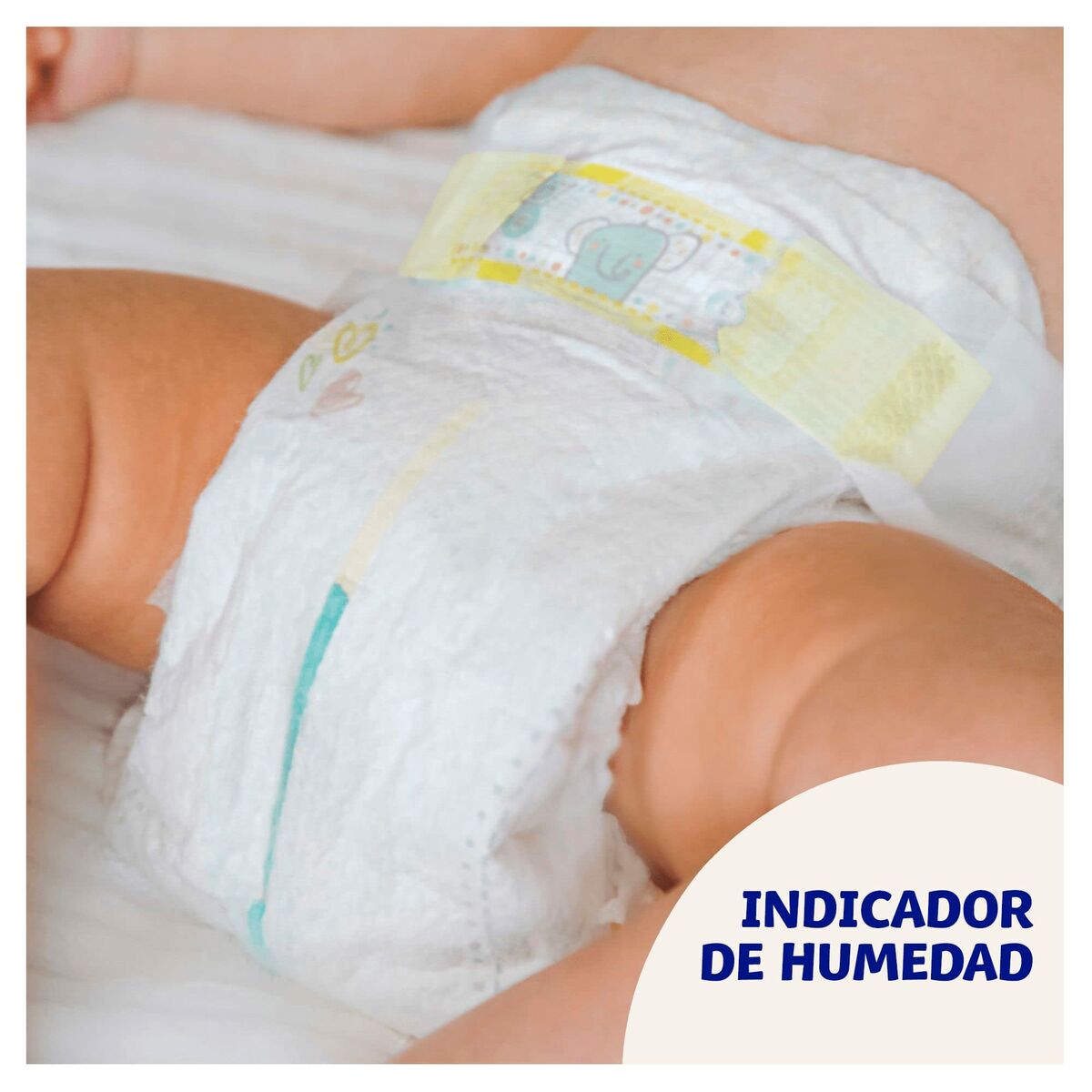 V5H600B85291DABD6BFCB9BCB8116997F49R5729877P4
