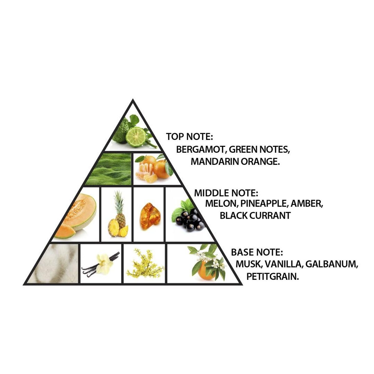 V2HB7D318E36005E969B0C06D08B7B7736FR7714535P2