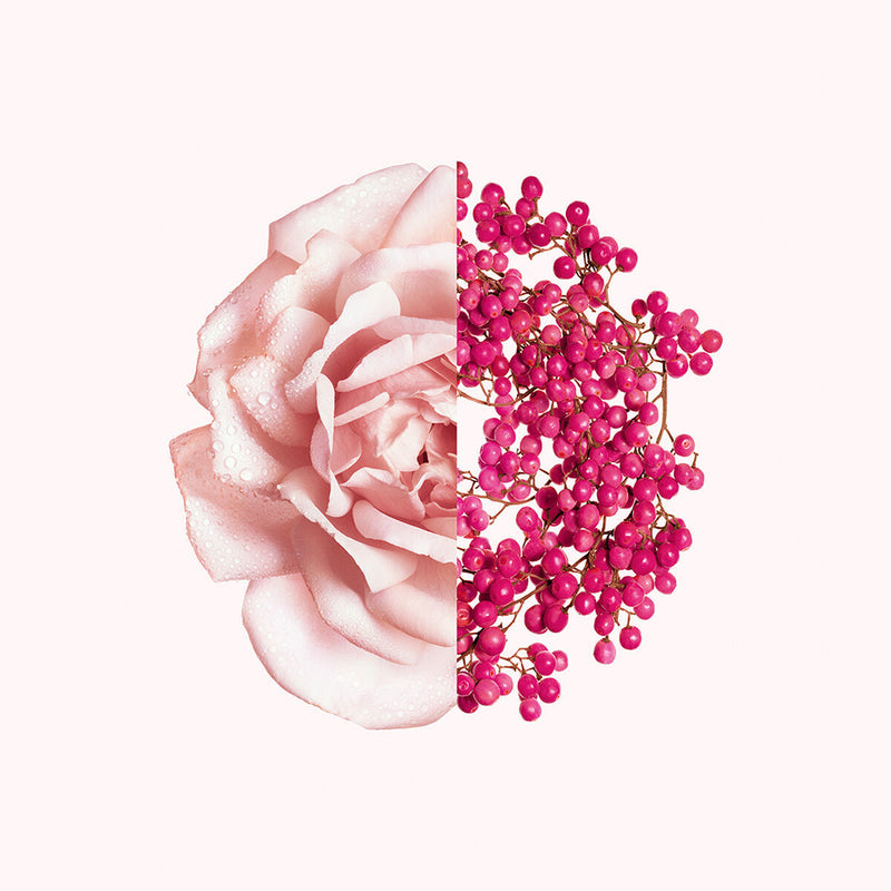 V3HAAC22B406C090608BE8CFC199168D959R6215014P3