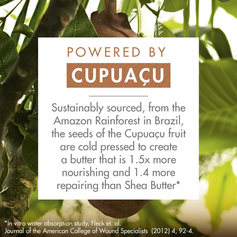 V2H13C928EBC11AE724B686632D11E8BC0CR7519766P3