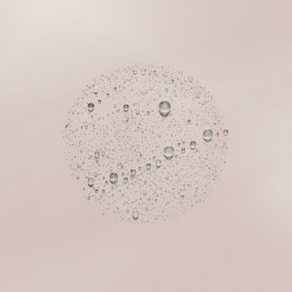 V4H5A6559818D078F71CC53BBE003EE6766R6952868P2