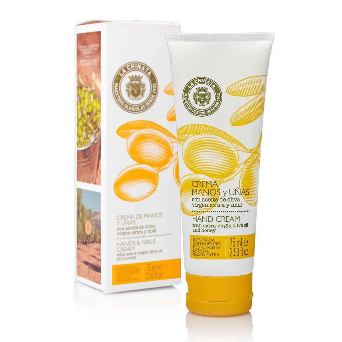 V5H5BD8D0B565C7E4B97426ADE8A290259BR5574336P1